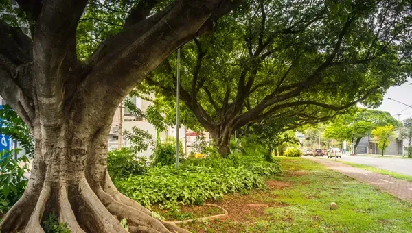 Imagem de Campo Grande